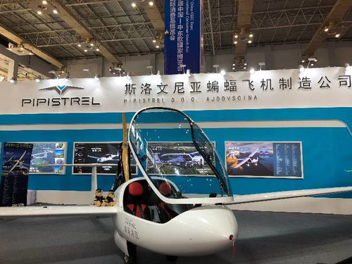 高技術與特色產品亮相中東歐博覽會，推動國際技術開發(fā)合作