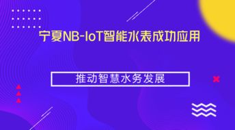 寧夏NB-IoT智能水表成功應(yīng)用，推動(dòng)智慧水務(wù)與智能水務(wù)系統(tǒng)開發(fā)